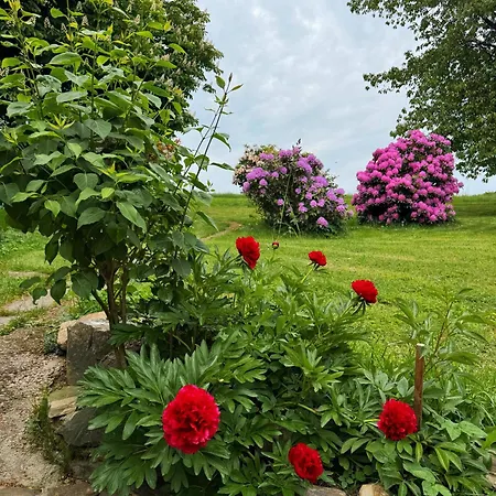 Kosovy アパート *